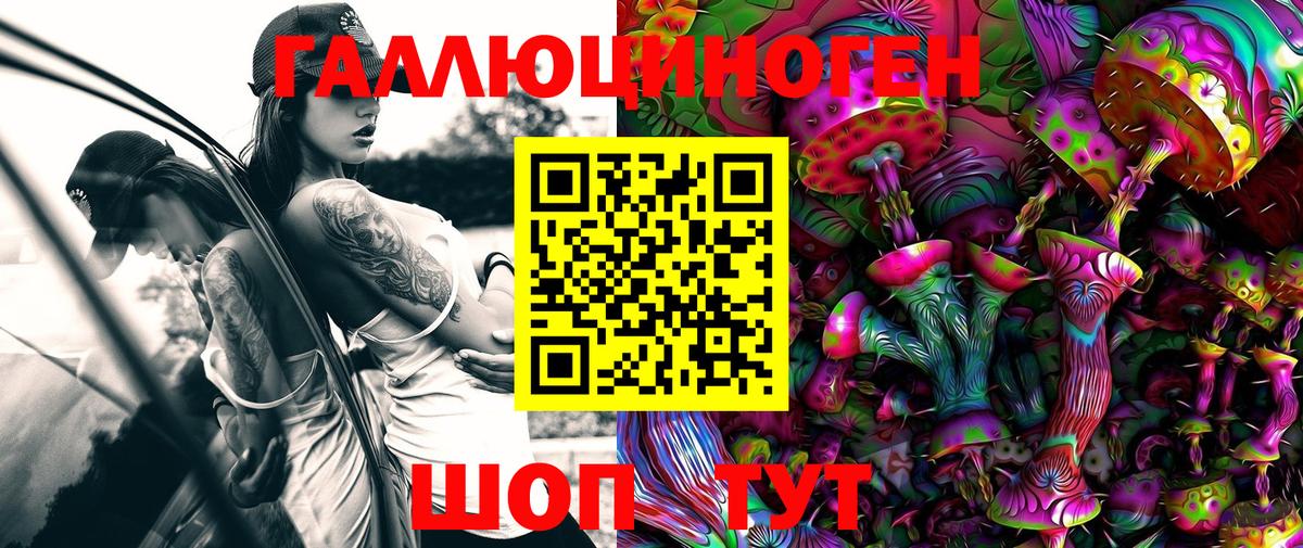 Прокопьевск  Псилоцибиновые грибы MAGIC MUSHROOMS  Вход с VPN 