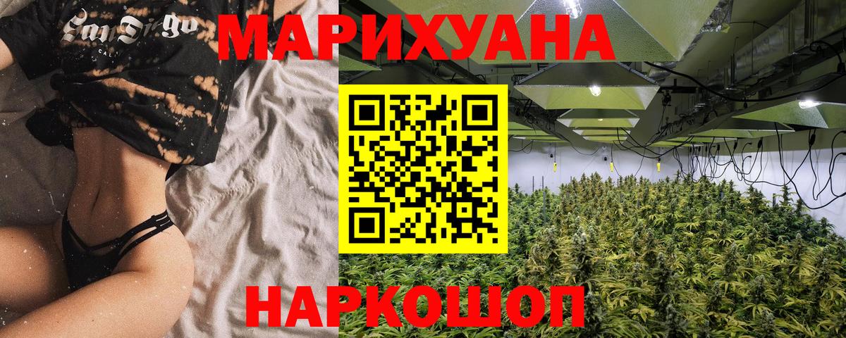 Бошки Шишки Amnesia Прокопьевск